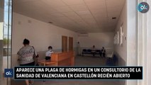 Aparece una plaga de hormigas en un consultorio de la sanidad de valenciana en Castellón recién abierto