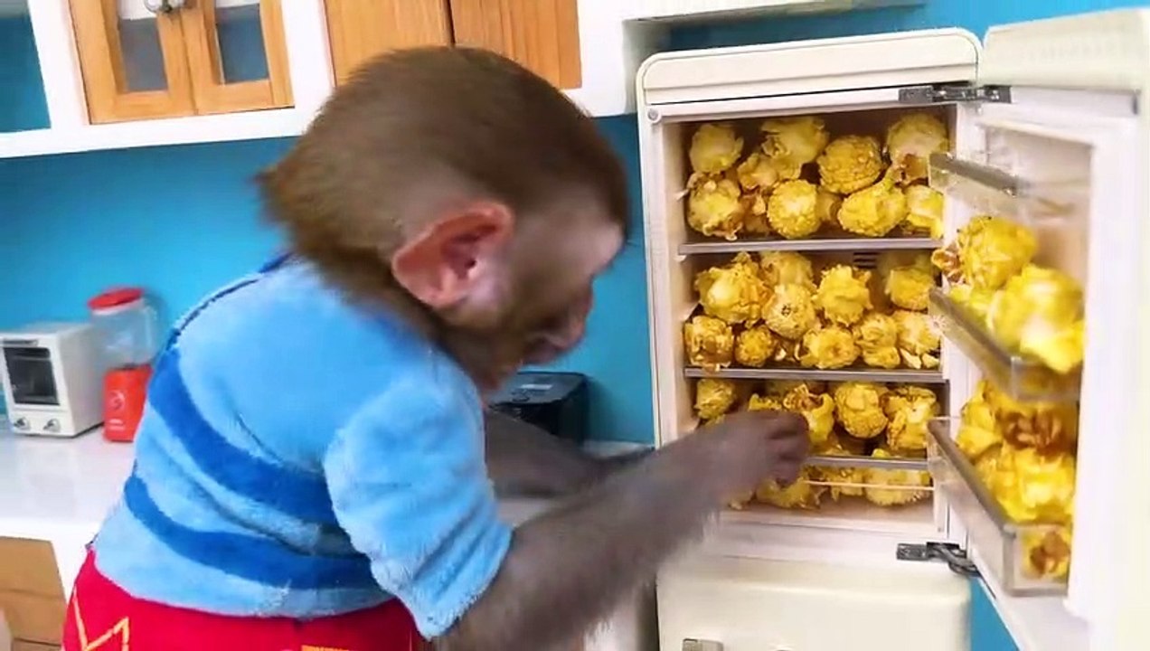 Monkey Baby
