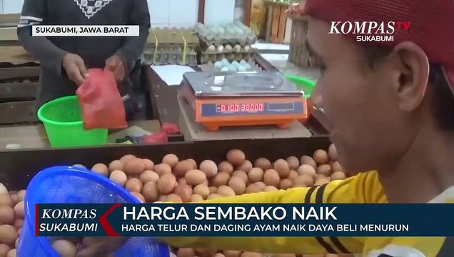 Harga Telur Dan Daging Ayam Naik Daya Beli Menurun