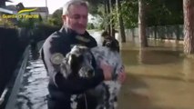 Maltempo in Emilia Romagna, Gdf salva i cani travolti dall'alluvione