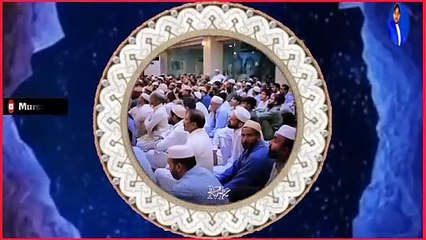 Allama Saqib Raza Mustfai