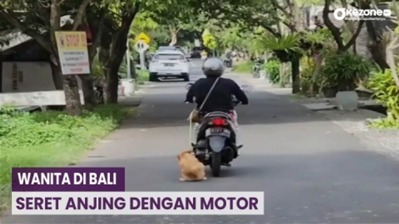 Wanita Seret Anjing dengan Motor di Bali, Pelaku Diperiksa Polisi