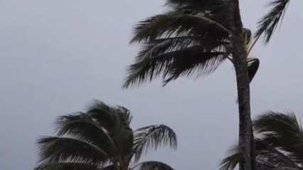 আর কিছুক্ষণের মধ্যেই প্রবল বেগে ধেয়ে আসছে বজ্র বিদ্যুৎ সহ বৃষ্টি