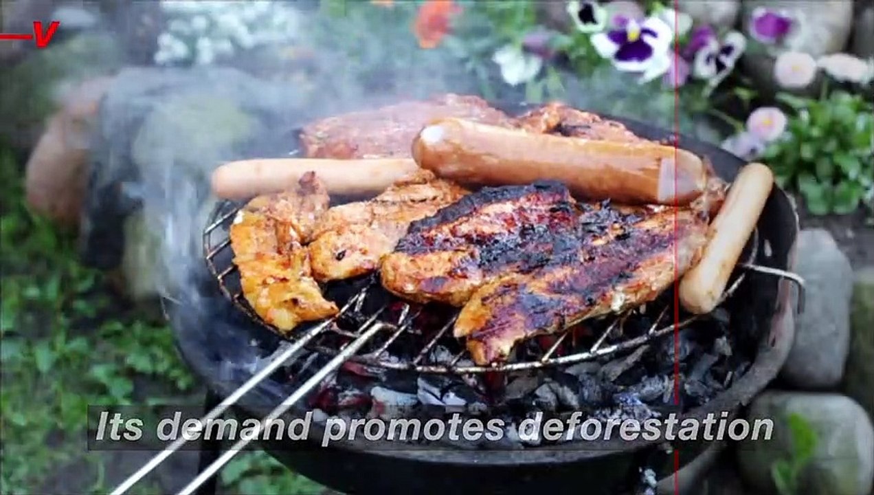 Eco-Conscious Cooks Need to Learn the Environmental Dangers of Outdoor Grilling