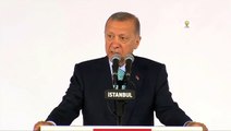 Erdoğan: Sanatçılar ve sanat dalları arasında ayrım yapan değil, tüm değerlerini bağrına basan, kuşatıcı bir yaklaşımla hareket ediyoruz