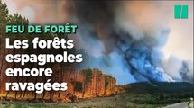 Les images impressionnantes du feu de forêt qui ravage le sud-ouest de l’Espagne