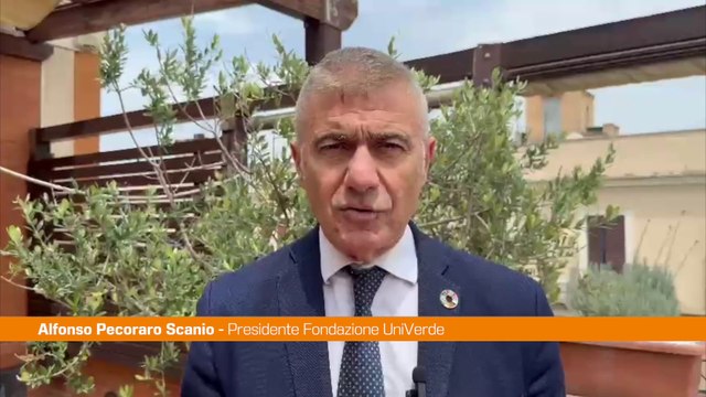 Pecoraro Scanio Subito 10.000 cantieri contro dissesto idrogeologico