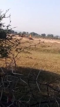 अवैध खनन व परिवहन पर लगाम लगाने की तैयारी