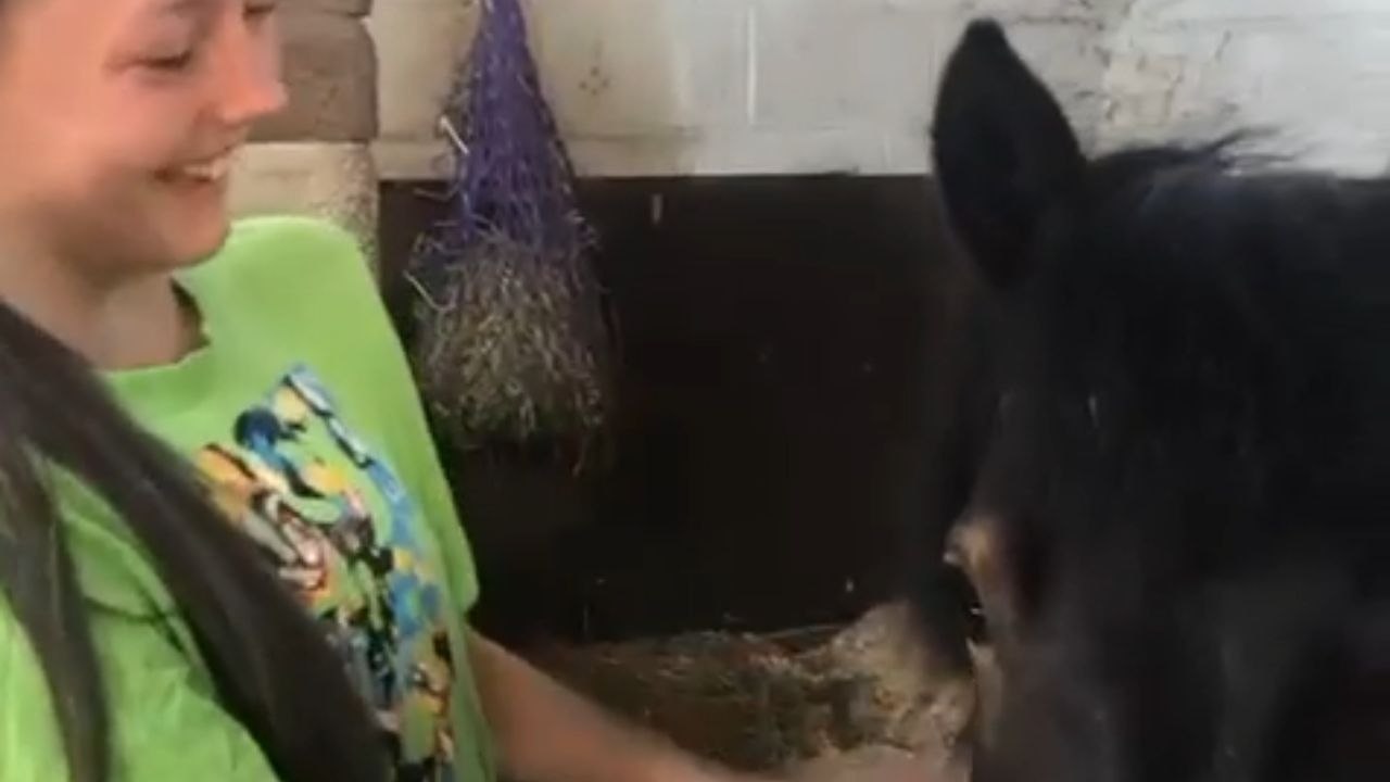 Girl gets misty-eyed after being reunited with the pony she grew up with
