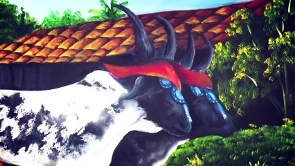 Programa Soluciones del 13 - 22 mayo