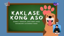 Paano kung ang isa sa classmates mo, isang aso?! | Dapat Alam Mo!