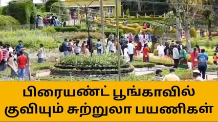 கொடைக்கானல் பிரையண்ட் பூங்காவில் குவியும் சுற்றுலா பயணிகள்