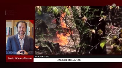 Jalisco en llamas | David Gómez Álvarez