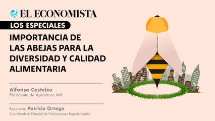 Importancia de las abejas para la diversidad y calidad alimentaria
