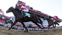 How Will The Small Field At The Preakness Impact The Race?