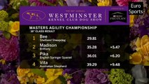 Best of Masters Agility Championships from Westminster Kennel Club