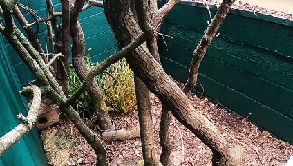 Marwell Zoo bokiboky 2023 (Press)