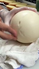 Cracking open an ostrich egg