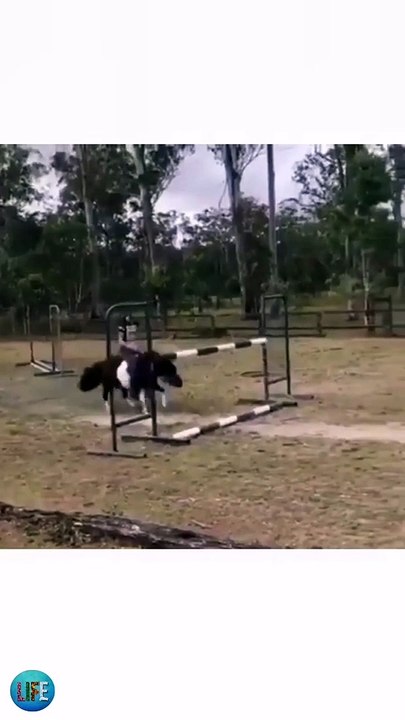 Didn't jump
