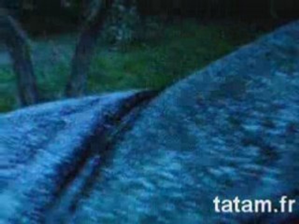 Neige Grans 24 Mars 2008