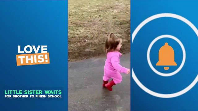 ADORABLE MOMENT toddler waits for older brother to come home!