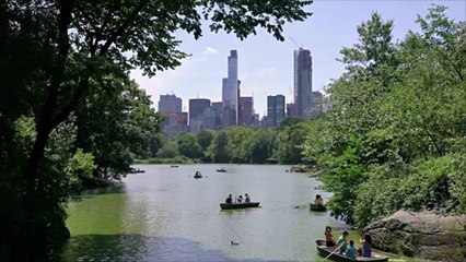 New York City Is Sinking Due to Enormous Weight, Study Warns