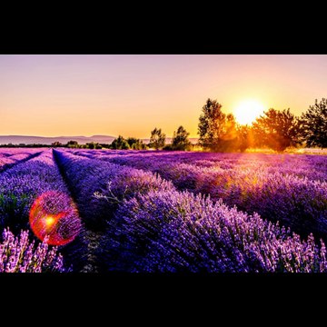 Top 50 beautifull france pics video drama dikho chanal