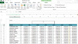 Excel 2013 Page Layout