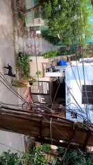 Hanuman Ji visit to our locality with the cute act