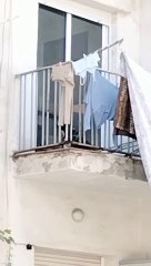 Un perro abandonado en un balcón de Badalona llora3-05-19 at 19.24.23
