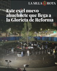 Este es el  nuevo ahuehuete que llega a la Glorieta de Reforma