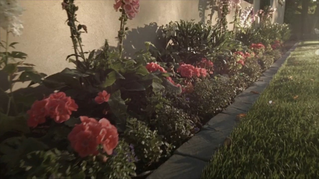 How To Edge Flower Beds Like A Pro
