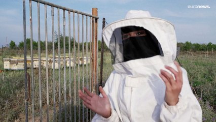 نحالون فلسطينيون يعتنون بخلايا النحل عبر الحدود المضطربة  في غزة