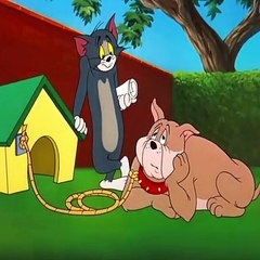 Tom and jarry cartoons