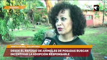 Desde el refugio de animales de posadas buscan incentivar la adopción responsable