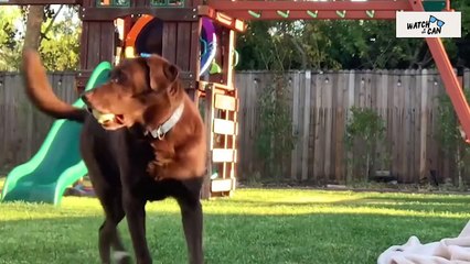 So Scared she actual hit him | Funniest Pranks | Watch me if You can