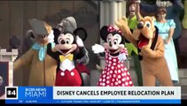 Disney is Scrapping Plan - Florida Campus Tour !