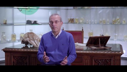 Ángeles Alvariño | movie | 2022 | Official Featurette