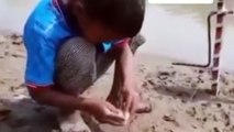 طفل يستخدم حيلة مبتكرة لصيد السمك _ A child catches fish