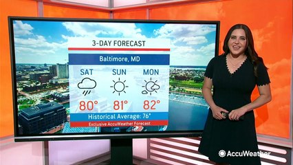 Stay Ahead of Allergy Season: Latest Forecast from AccuWeather 🌸