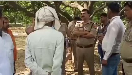 अमरोहा: आम के पेड़ से लटका मिला महिला का शव, एसडीएम और सीओ ने किया मुआयना