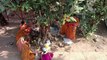 जबलपुर में शनि जयंती और वट सावित्री पूजन उत्सव