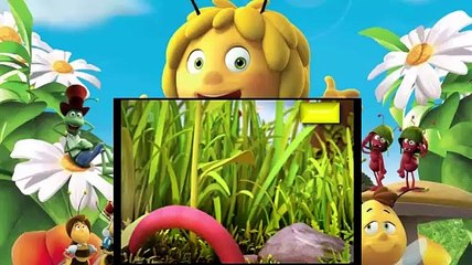 Pszczółka Maja / Gucio  - BAJKA