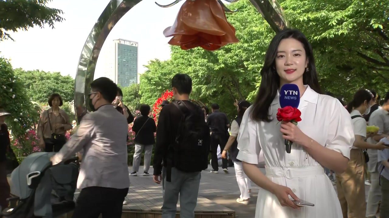 [날씨] 맑고 초여름 더위, 서울 27℃...장미 축제 한창 / YTN