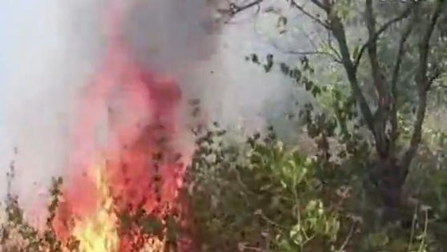 পুরুলিয়া : দাউ দাউ করে জ্বলছে জঙ্গলমহল!দেখুন ভিডিও