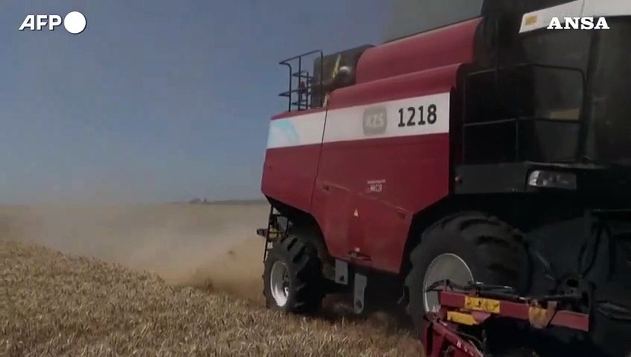 Italia 4/o Paese a beneficiare dell'intesa sui cereali