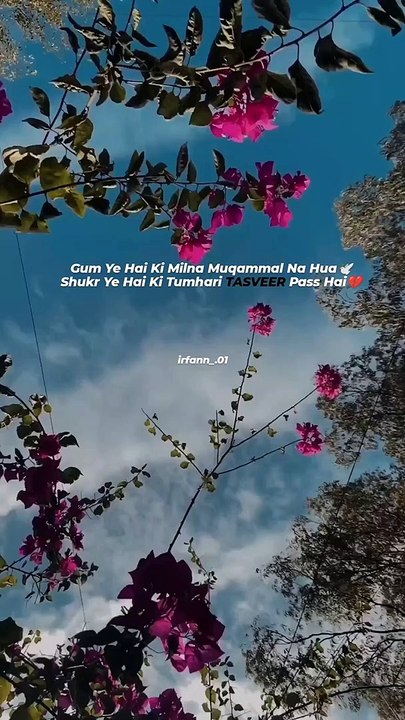 Gum Ye Hai Ki Milna Muqammal Na Hua Shukr Ye Hai Ki Tumhari TASVEER Pass Hai