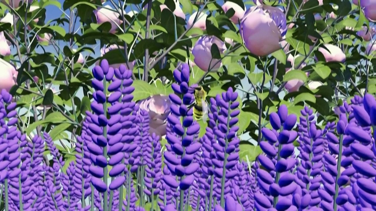 Videografik: Bienensterben bedroht ganze Ökosysteme