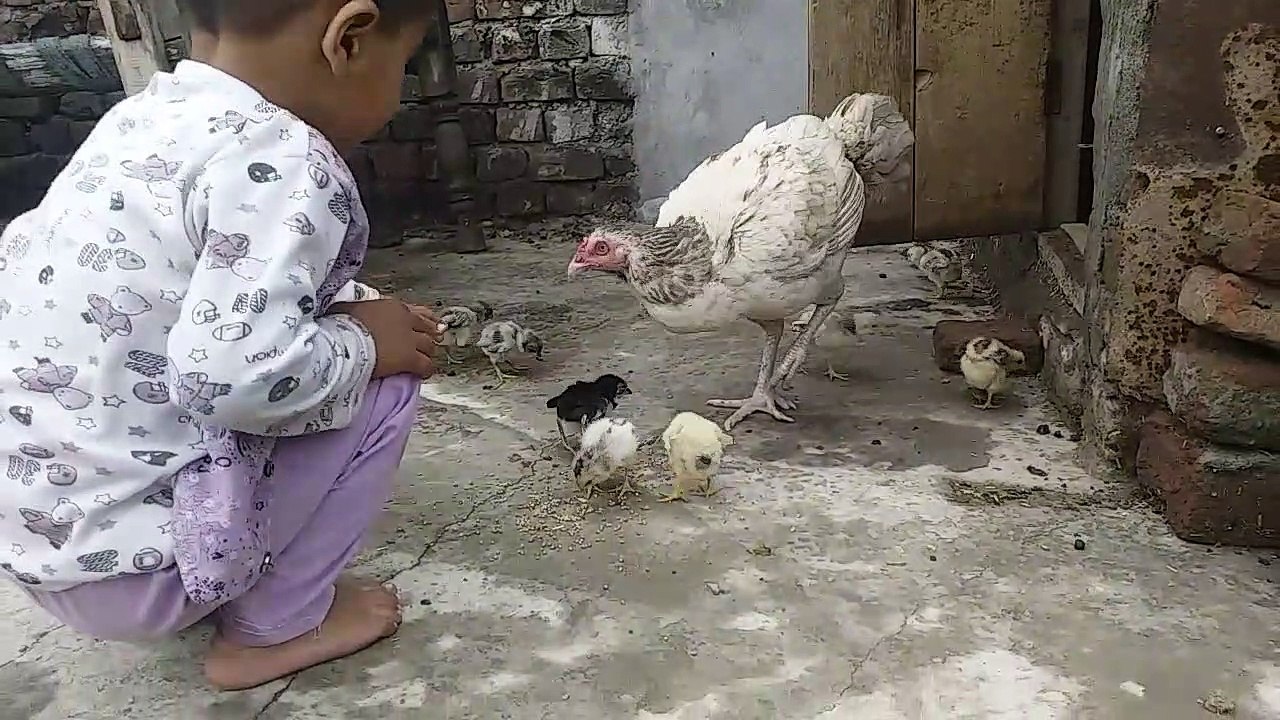 Aseel Baby subscribe my channel