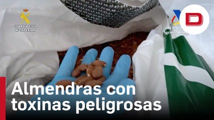 La Guardia Civil intervenidas 25 toneladas de almendras con toxinas muy peligrosas